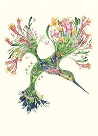 E154 - kolibrie