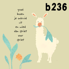 B236-081 - blokaanjemuur wieden lama