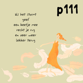 P111-081 - blokaanjemuur storm