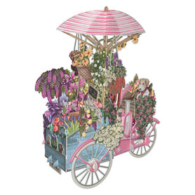 3D009 Flower Seller's Bicycle - Pink