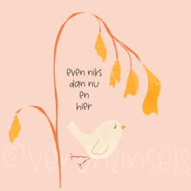 B269-081 - blokaanjemuur even niks