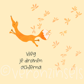 B168-081 - blokaanjemuur vlieg