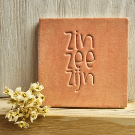 B333-168 - tegel zin zee zijn